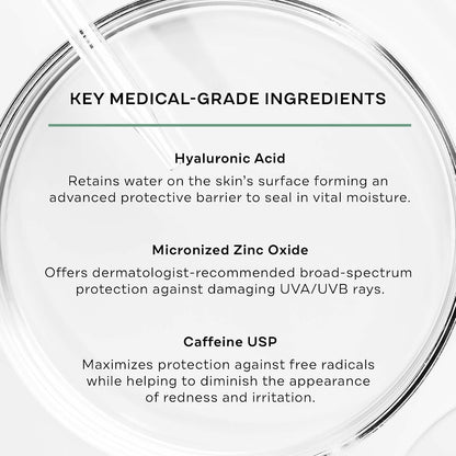 Replenix Hydrating Antioxidant Mineral Broad-Spectrum Sunscreen with Medical-Grade Zinc, Dermatologist-Developed Oil-Free SPF 50+ for Face & Body, Non-Comedogenic & Hypoallergenic (4 fl. oz.)